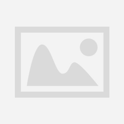 比較加拿大海運價格和時效:選擇最佳物流方案